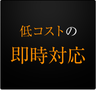 低コストの即時対応