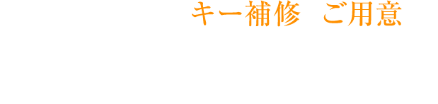 あらゆる車種のキー補修・ご用意は、東海キーサービスセンターへ。短納期・低コストでご提供いたします。